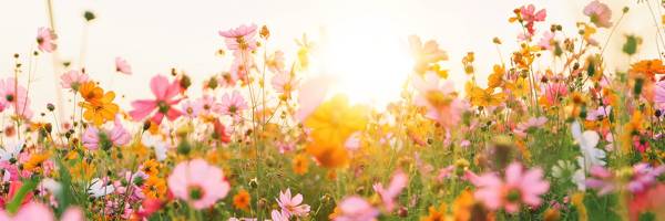 Quelle: Adobe Stock